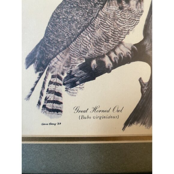 Vintage Framed Great Horned Owl Print By Gene Gray 1989 - Picture 3 of 7